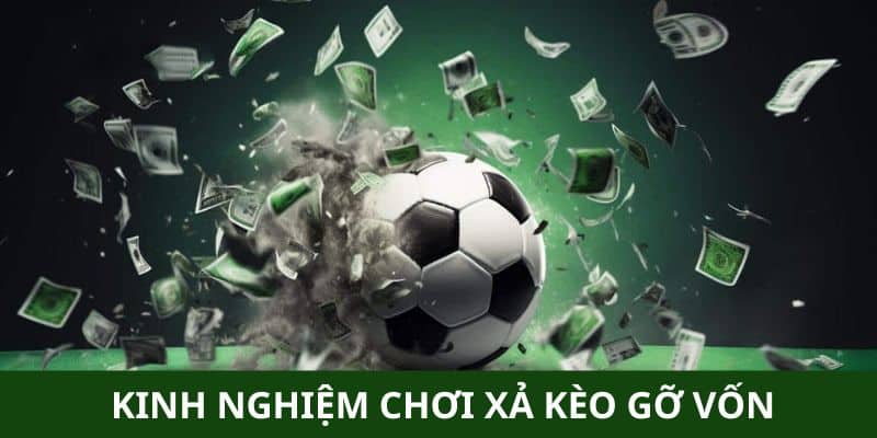 Kinh nghiệm chơi gỡ vốn từ các chuyên gia đầu ngành Kinh nghiệm chơi gỡ vốn từ các chuyên gia đầu ngành