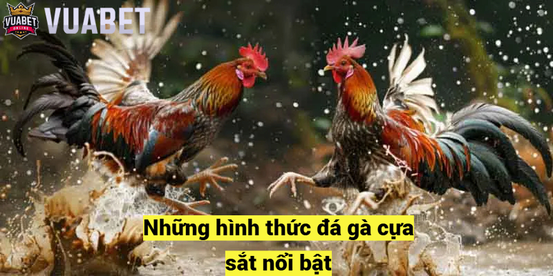 Những hình thức đá gà cựa sắt nổi bật