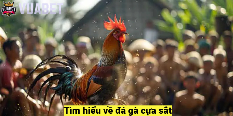 Tìm hiểu về đá gà cựa sắt